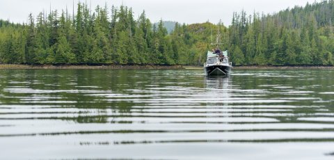 Kayak Bear watching in Tofino