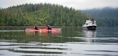 Kayak Bear watching in Tofino