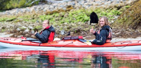 Kayak Bear watching in Tofino